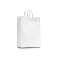 White Kraft Paper Bag; #420 twist handle 320 x 420mm + 110mm G 5 x 50pk/ctn 250/ctn