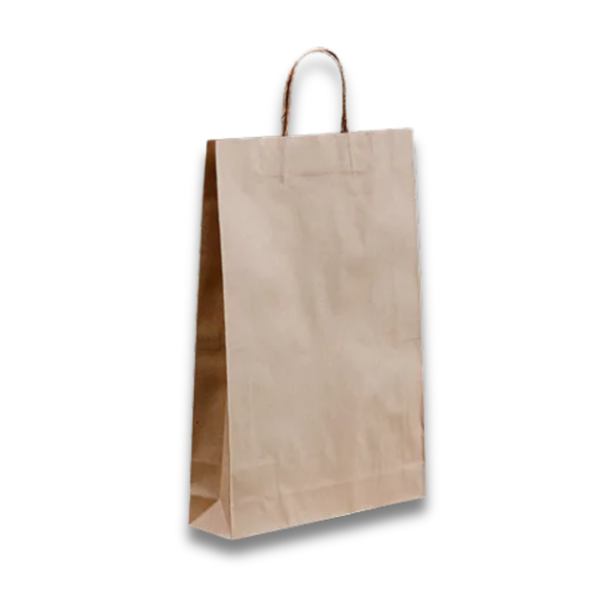 Brown Kraft Paper Bag #480 twist handle 340 x 480mm + 110mm G 5 x 50pk/ctn 250/ctn