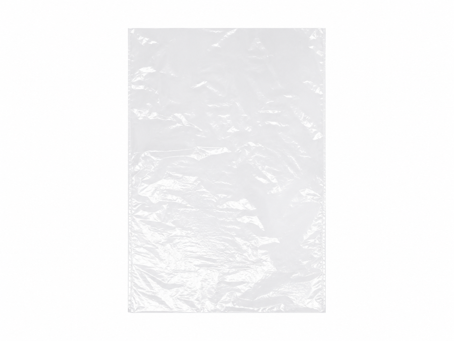 25UM 18 x 12" Plastic Bags LDPE 450 x 300mm 1000/ctn