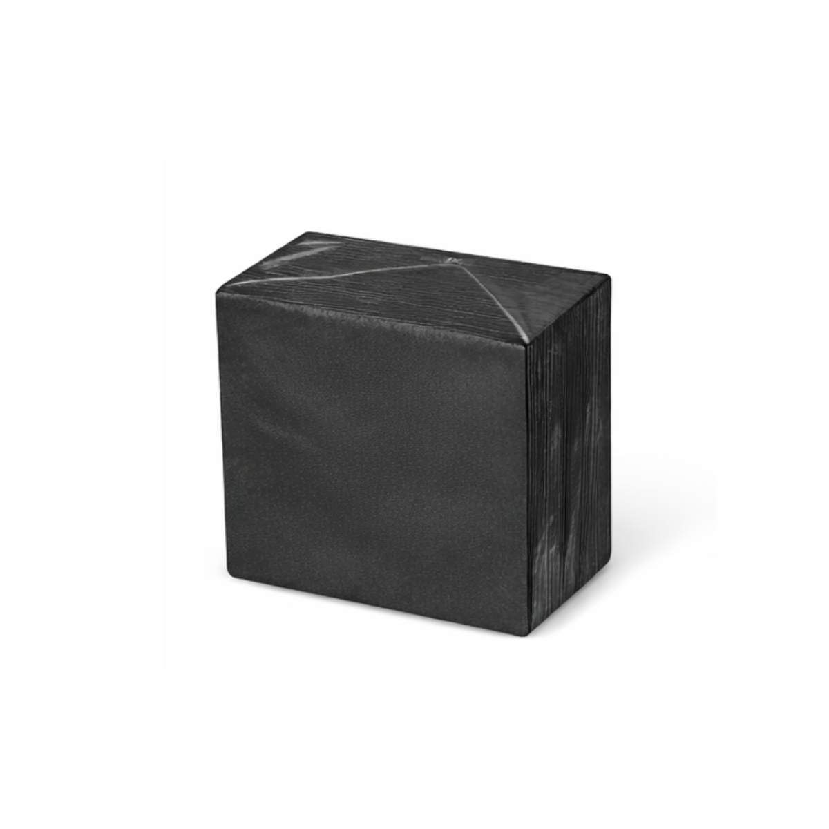 Luncheon Napkins 2ply Black 20 x 100pk/ctn 2000/ctn
