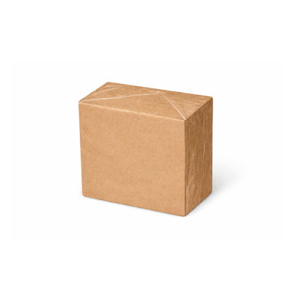 Luncheon Napkins 2ply Kraft 20 x 100pk/ctn 2000/ctn
