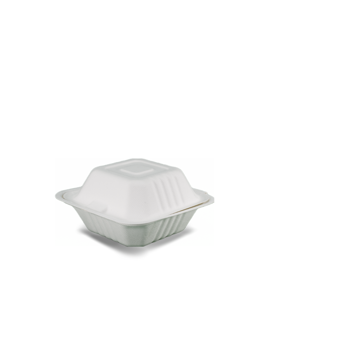 Burger Clam- Sugarcane SC01 / SC06 152 x 152 x 80 400/ctn