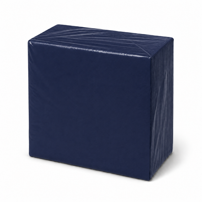 Dinner Napkins 2ply Dark Blue 10 x 100pk/ctn 1000/ctn