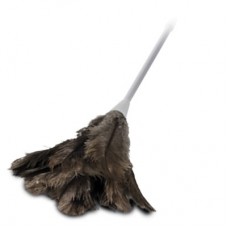 Feather Duster; Genuine Ostrich Feathers