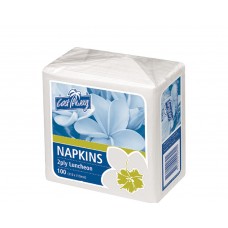 2ply Lunch Napkins - White Castaway Brand 