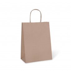 Petite Paper Carry Bag; twist handle #10 brown 250/ctn
